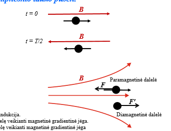 <ul><li><p>paramagnetinės traukiamos stipresnio lauko pusėn</p></li><li><p>diamagnetinės stumiamos silpnesinio lauko pusėn</p></li></ul><p></p>