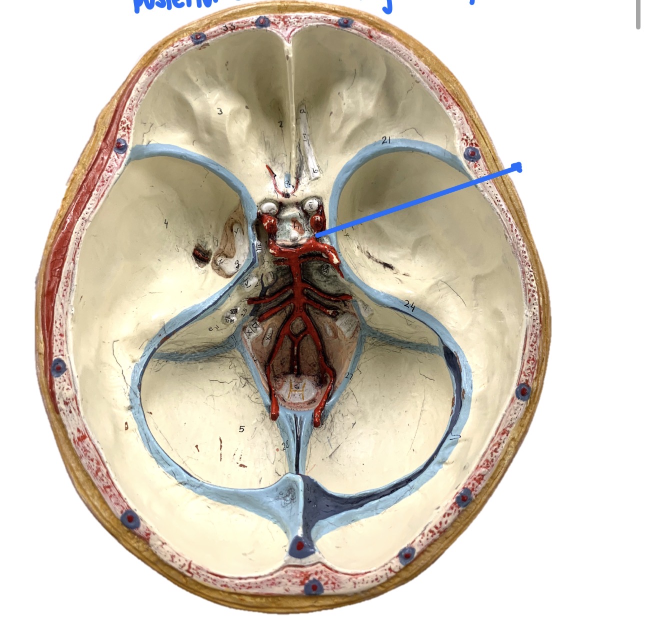 knowt flashcard image