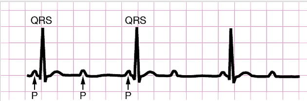 <p>What type of graph is this?</p>