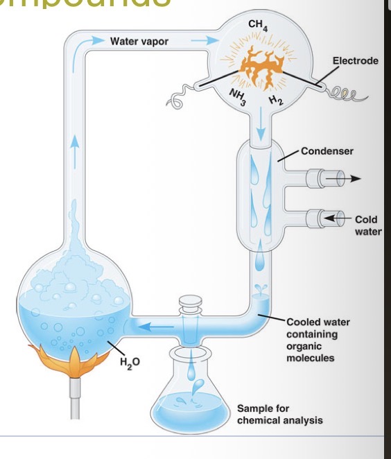<p>The replication of storms and lightning by Miller and Urey proved what?</p>