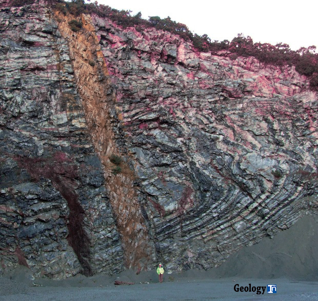 <p>Cuts across bedding surfaces </p>