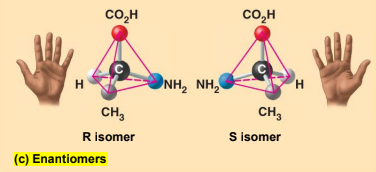 <p>Isomers that are <strong>mirror images</strong> of each other</p>