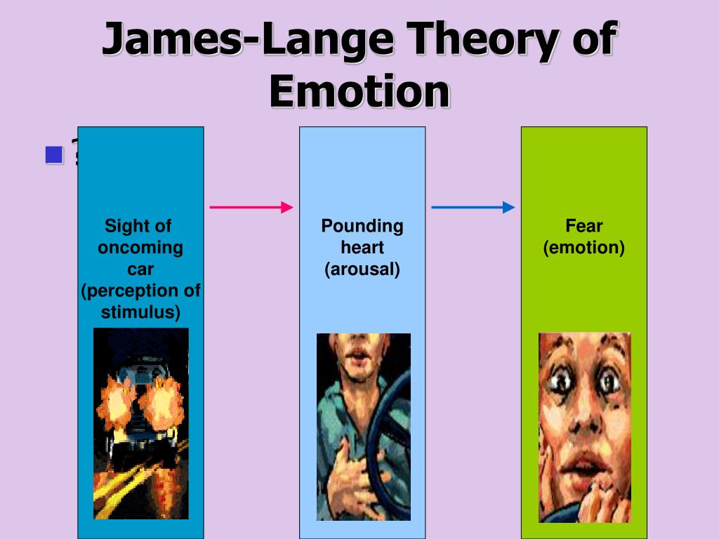 <p>Theory of emotion stating that people perceive specific patterns of bodily responses and as a result of that perception feel emotion </p>