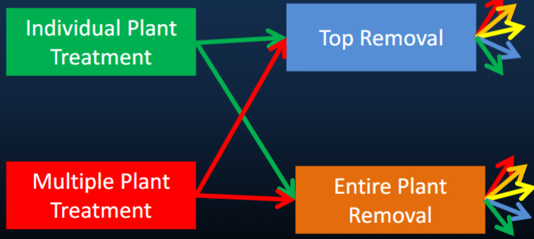 <p>Individual Plant Treatment</p><p>Multiple Plant Treatment</p><p>Top Removal</p><p>Entire Plant Removal</p>