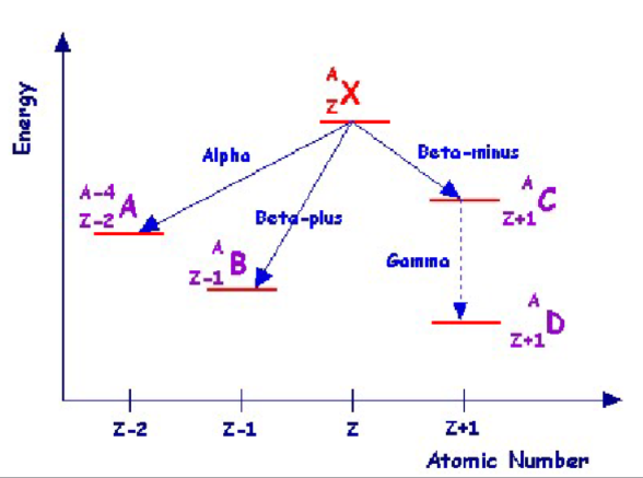 <ul><li><p>graphical representation of decay scheme</p></li><li><p>common conventions</p></li><li><p>set up is on a standard graph</p><ul><li><p>Z is represented on the X-axis</p><ul><li><p>moving <strong>RIGHT </strong>→ <strong>INCREASES Z</strong> protons</p></li></ul></li><li><p>instead of N, a decay scheme displays energy</p></li><li><p>energy is represented on the Y-axis</p><ul><li><p>moving <strong>DOWN </strong>the scheme <strong>RELEASES </strong>(or decreases) <strong>energy</strong></p></li></ul></li></ul></li><li><p>at least in this course, __ __ will always point down </p><p></p></li></ul><p></p>