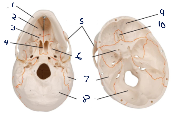 <p>1</p>