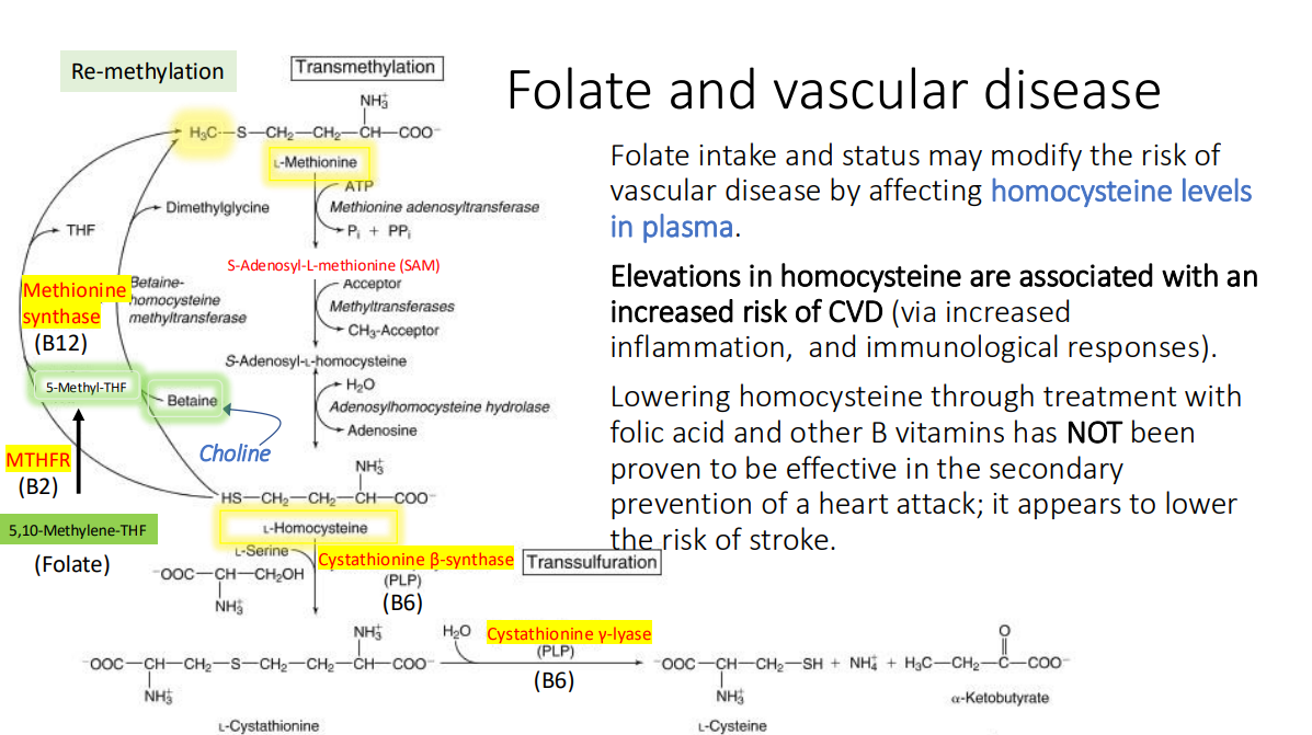 <p>secondary prevention of a heart attack;</p><p> stroke</p>