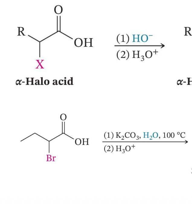 <p>Conversion to α-Hydroxy Acids</p>