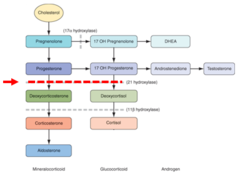 <p>21-hydroxylase deficiency that can present in its most severe, classic form as a newborn female infant w/ ambiguous genitalia and life-threatening salt wasting. Milder forms present later in life. 11Beta-hydroxylase deficiency is a less common cause of adrenal hyperplasia.</p>