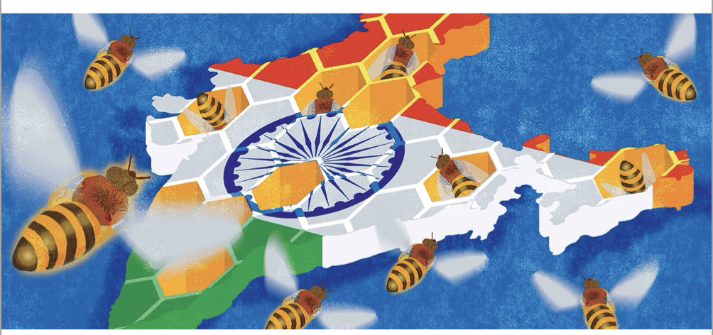 <p>How multinationals can win in India—>Main idea</p>