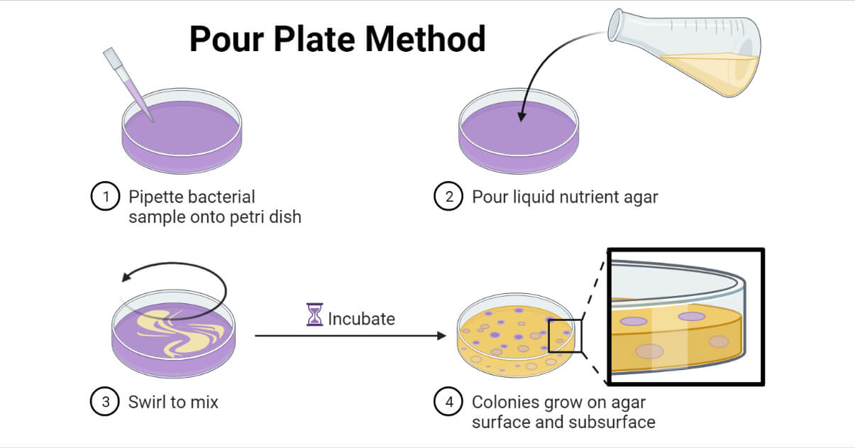 <p>Molton agar (series of tubes) more than 40 degrees </p>