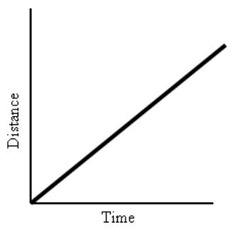 <p>It indicates constant velocity.</p>