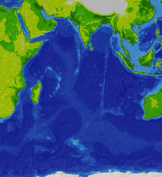 <p>Indian</p>