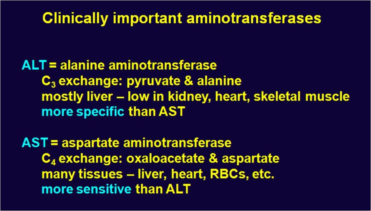 <p>Elevated ALT levels in serum indicate liver damage; normal range is 5-35 U/L, but may increase up to 50-fold.</p>