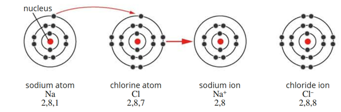 <p><span>when metal and non-metal atoms react:</span></p><ol><li><p><span>metals donate their electrons to non-metal → cations</span></p></li><li><p><span>non-metals receive electrons from metal → anions</span></p></li><li><p><span>electrostatic force forms between the anions&nbsp;and cations</span></p></li><li><p><span>new ions arrange themselves in large 3D lattice </span></p></li><li><p><span>ionic bonds hold lattice together </span></p></li></ol><p></p>