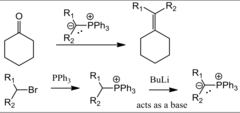 <p>C=O bond --> C=C-R bond</p><p>addition of a phosphylide to form an alkene</p><p>Wittig Reaction</p>