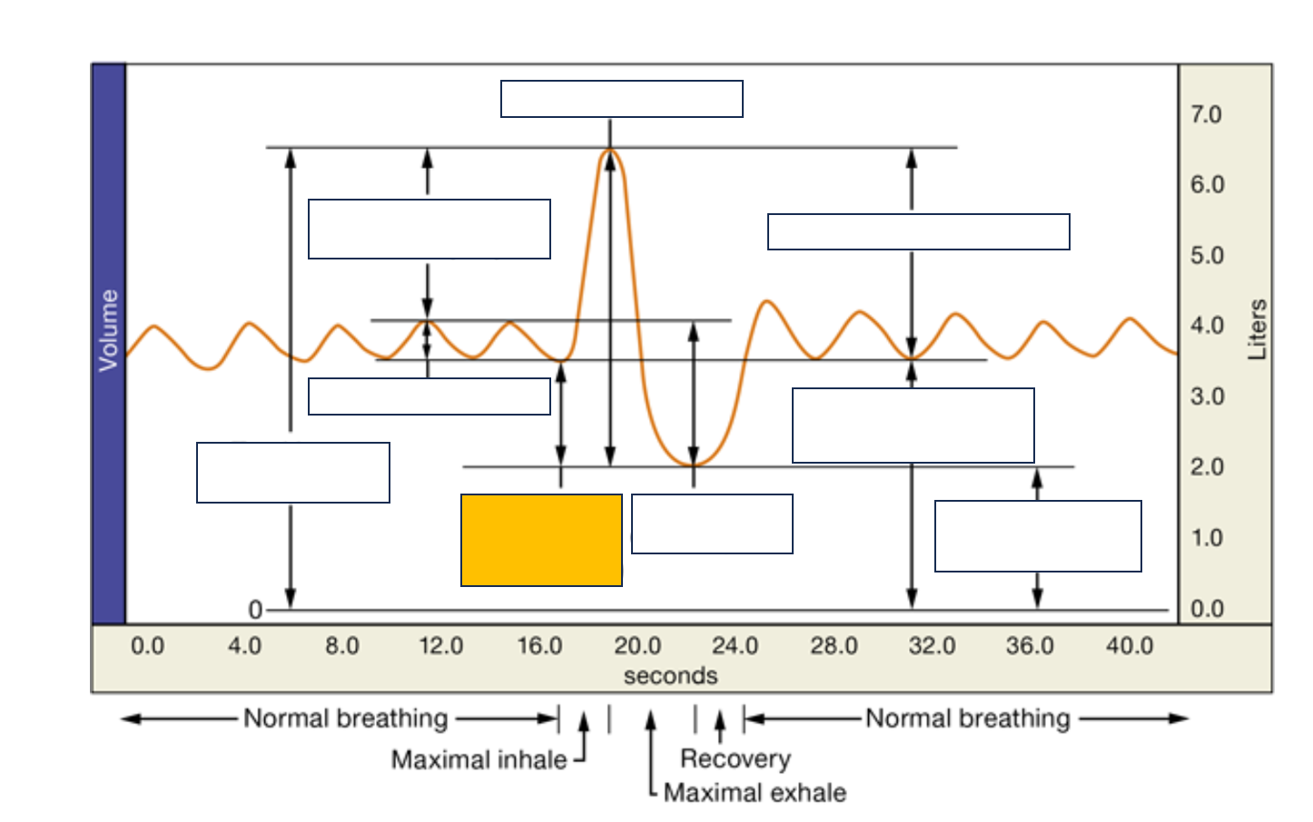<p>name and def.</p>