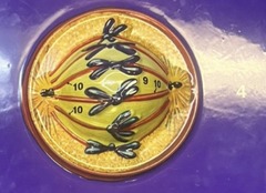 <p>Metaphase</p>