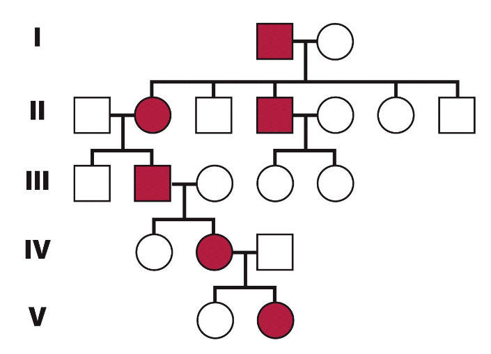 <p>If a dominant condition reduces viability or fertility, individuals carrying two dominant alleles may be less likely to survive or reproduce.</p><p>Therefore, many affected individuals are heterozygous and, with an unaffected partner, are expected to transmit the condition to approximately half their children.</p>