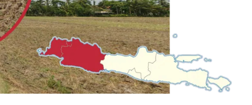 <p>West Java</p>