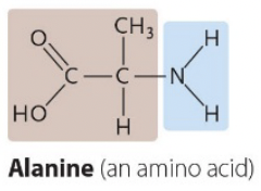 <p>An N bonded to two H’s</p>