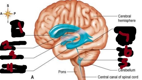 <p>1</p>