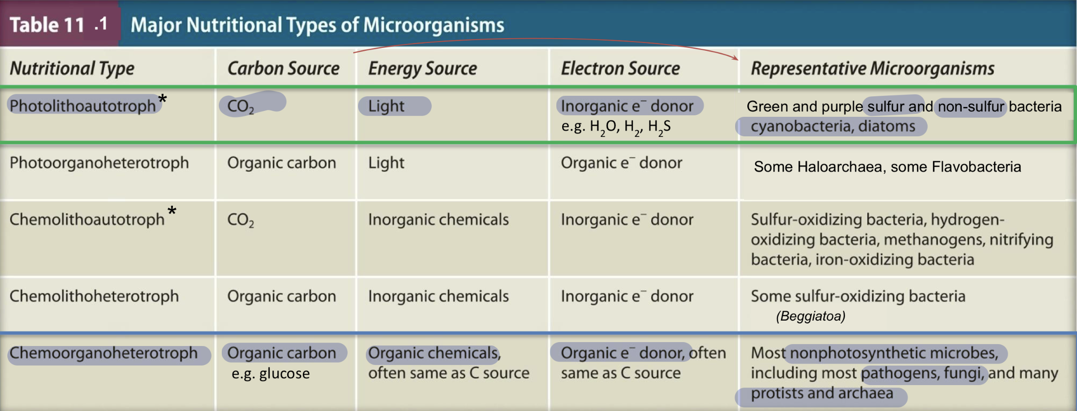 <p>Summary of nutritional types of microorganisms</p>