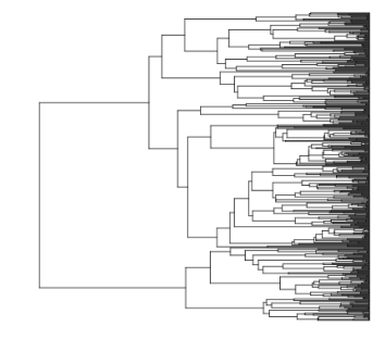 <p>(Visualizing lineage diversification) accumulation of lineages through time</p>