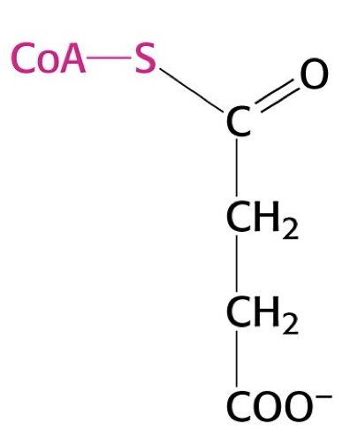 <p>what structure is this?</p>