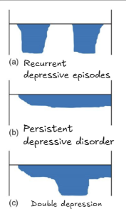 <ul><li><p>Individuals who suffer with both major depression episodes and PDD</p></li><li><p>Most challenging disorder to treat within depressive disorders</p></li></ul><p></p>