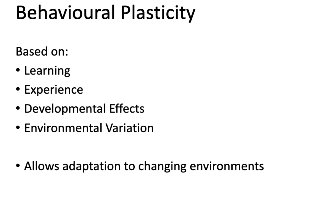 <p><strong><mark data-color="rgba(0, 0, 0, 0)" style="background-color: rgba(0, 0, 0, 0); color: inherit;">an organism's ability to alter its behavior in response to changing environmental conditions, experiences, or internal stimuli</mark></strong><span>.</span></p>