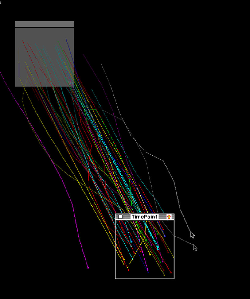 term image