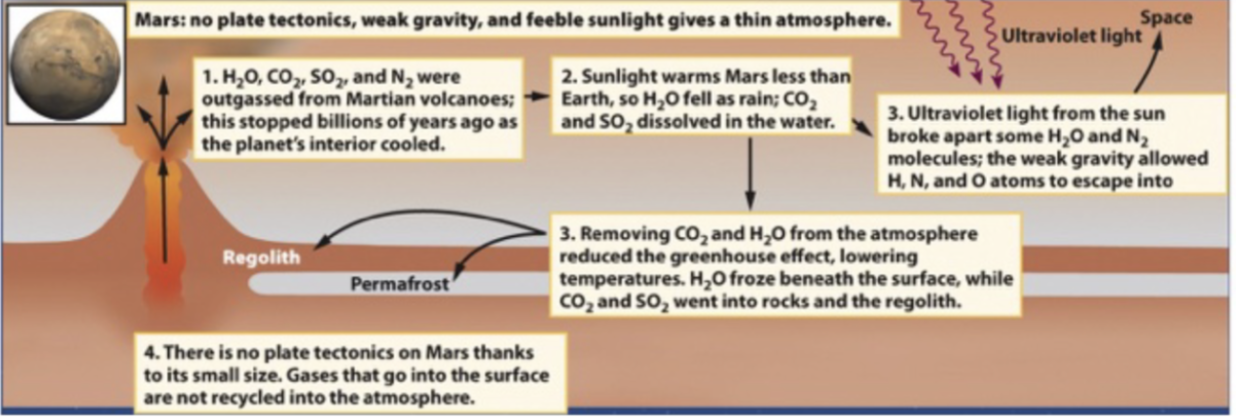<p>Runaway icehouse effect </p><ul><li><p><span style="background-color: transparent;"><u>1</u>/ Water, carbon dioxide, sulfure dioxide, and nitrogen were outgassed from volcanoes (stopped billions of years ago as planet cooled) </span></p></li><li><p><span style="background-color: transparent;"><u>2</u>/ Sunlight warms Mars less than Earth, so water falls as rain and carbon dioxide and sulfure dioxide dissolve in the water</span></p></li><li><p><span style="background-color: transparent;"><u>3.1</u>/ UV light from the sun broke apart some of the water and nitrogen molecules; the weak gravity allowed H, N, and O atoms to escape into space </span></p></li><li><p><span style="background-color: transparent;"><u>3.2</u>/ Removing carbon dioxide and water from the atmosphere reduced the greenhouse affect, lowering temperatures. Water froze beneath the surface, while carbon dioxide and sulfur dioxide went into rocks</span></p></li><li><p><span style="background-color: transparent;"><u>4</u>/ No plate tectonics on Mars because it is so small, so gasses that go into the surface are not recycled into the atmosphere</span></p></li></ul><p></p>