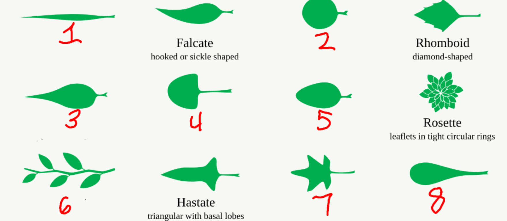 <p>5, 6, 7, 8</p>