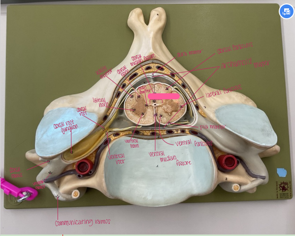 <p>What is being shown? </p>