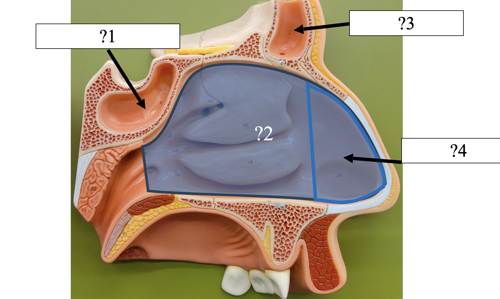 <p>1Name the space?</p>