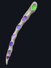 <p>in green, but all the purple down it are also this - in green is just the first one</p>