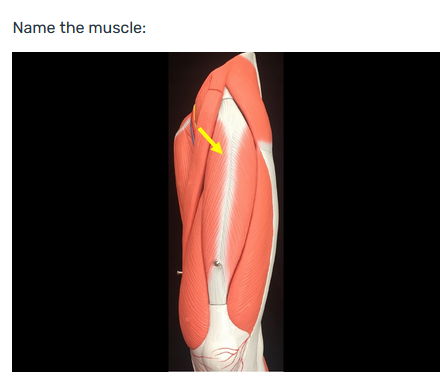 term image
