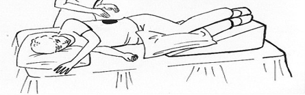 <p>what part of lungs is shaded in the image?</p>