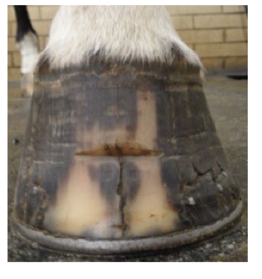 <p>what is this?</p>