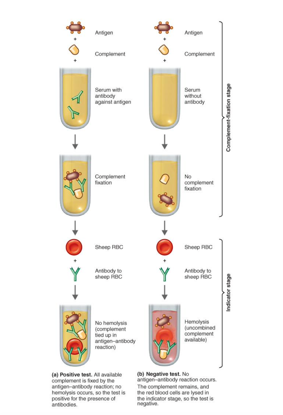 <p>complement serum protein binds to and is fixed to the antigen–antibody complex (<span>The test checks whether a patient’s serum contains antibodies to a particular pathogen)</span></p><ul><li><p>Detects small amount of antibody</p></li><li><p class="p1">Works for antibodies that do not work with precipitation or agglutination reactions</p></li><li><p class="p2">Use to diagnose certain viral, fungal, and rickettsial diseases</p></li></ul><p></p>