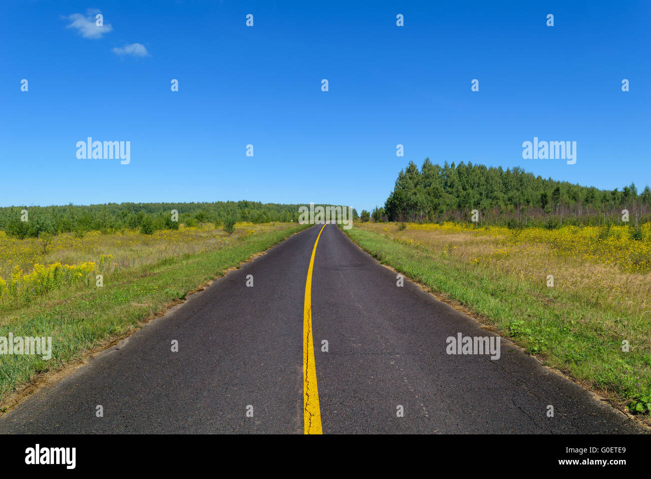 <p>single solid yellow line </p>