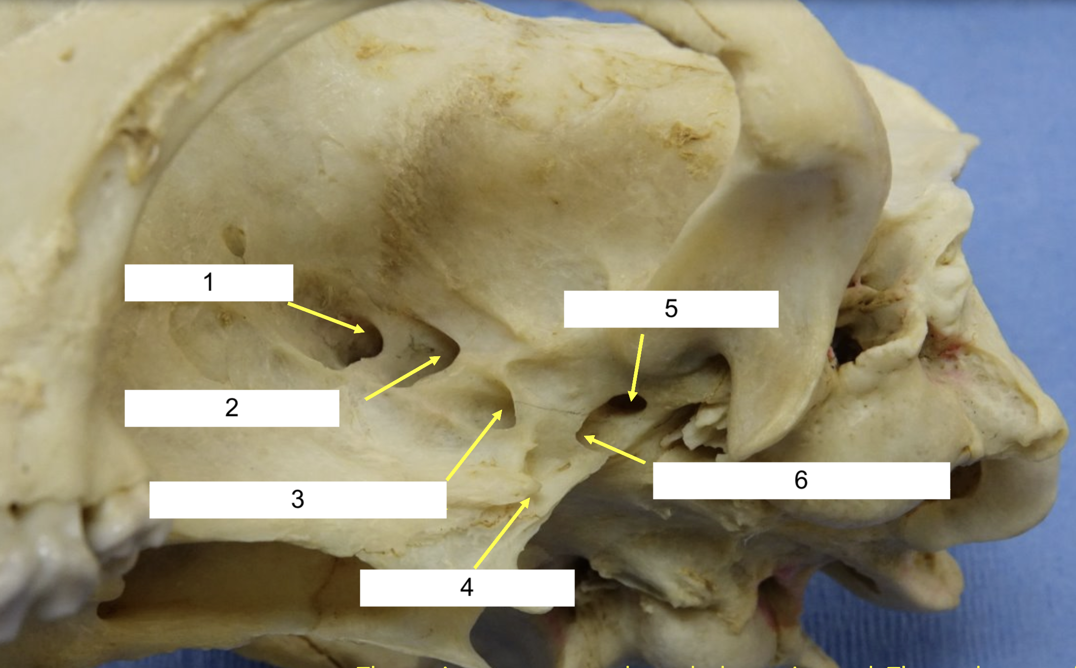 <p>What is 1?</p>