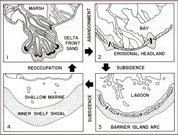 <p>Beds that mark end of sedimentation on a delta lobe. Delta plain turns to peat while the delta front and mouth bar may be reworked by wave action, retreating landward in a series of sand shoals. Carbonate may develop on outer edge</p><p>low sedimentation rate</p>