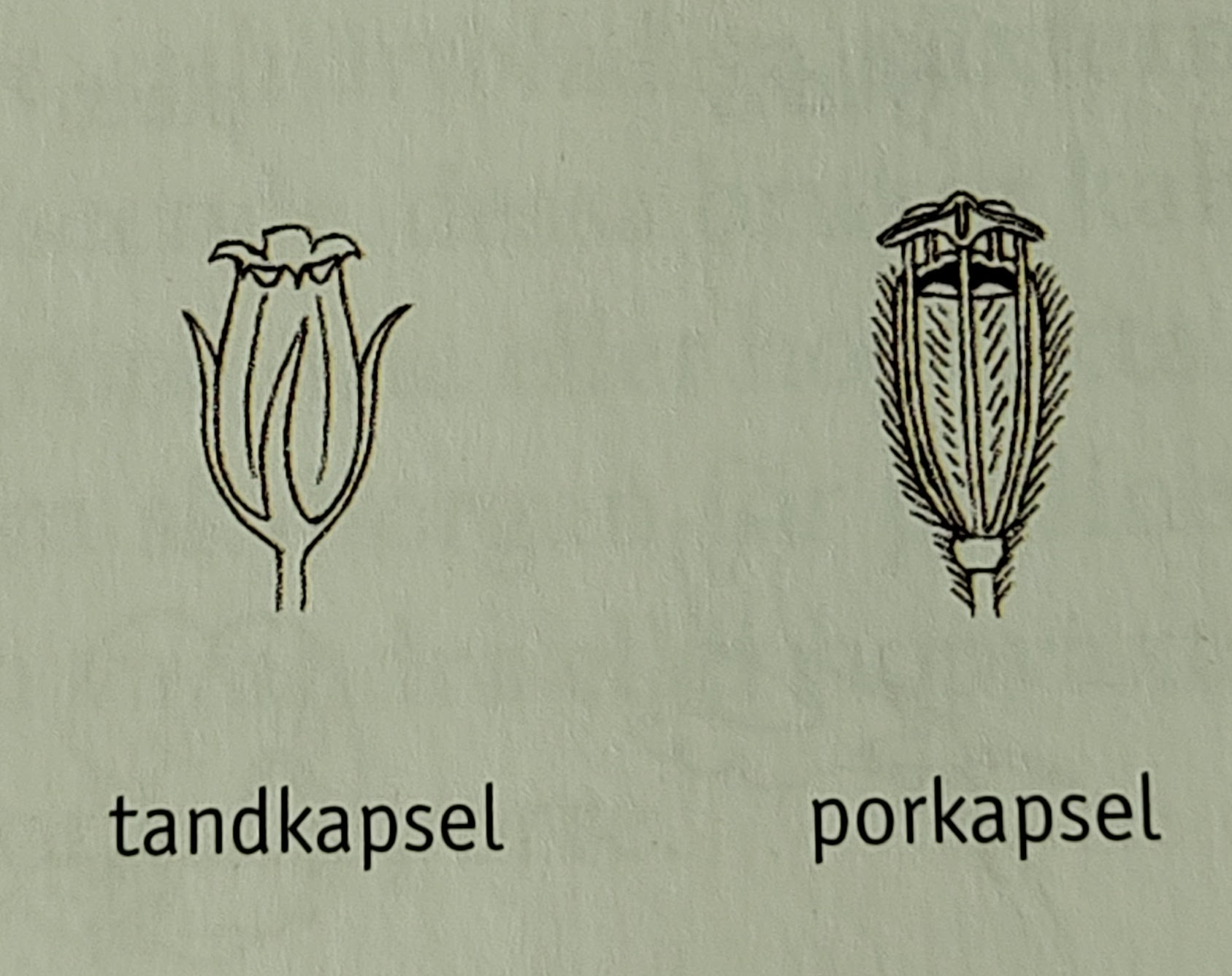 <p></p>