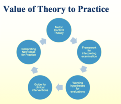 <p>- Abstract ideas about the control of movement </p><p>- Reflect differences in opinion about the relative importance of various neural components of movement </p><p>- Describe viewpoints regarding how movement is controlled</p><p>- A set of interconnected statements that describe unobservable structures or processes and relate them to each other and to observable events</p><p>- Rehabilitation practices reflect the theories, or basic ideas; we have about the cause and nature of function and dysfunction </p><p>- Provide a clinician with:</p><p>◦A framework for interpreting behavior</p><p>◦A guide to clinical action</p><p>◦New ideas</p><p>◦Working hypotheses for examination and intervention</p><p>- Reflex theory </p><p>- Hierarchal theory </p><p>- Motor programming theory </p><p>- Systems theory </p><p>- Ecological theory </p><p>*each build off of each other</p>