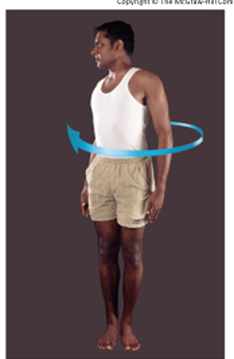<p>Motion: Lateral side bend</p><p>Plane of motion: Transverse</p><p>Axis of rotation: Vertical axis</p><p>Best view: Top</p>