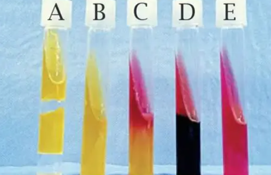 <p>Explain the results of Kligler’s iron agar is a multiple test medium</p>