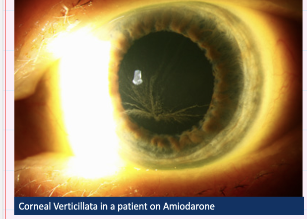 <p>Describe and give diagnosis </p>