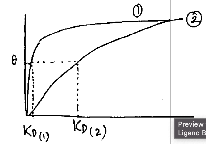 <ol><li><p>Kd determines the shape</p></li><li><p>smaller Kd = steeper line  = higher affinity (higher [L] needed for theta = 50%)</p></li><li><p>higher Kd = more horizontal line = lower affinity</p></li></ol><p></p>